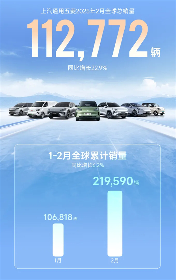 腾博汇游戏官网2月触摸30万辆月销门槛，国内唯二