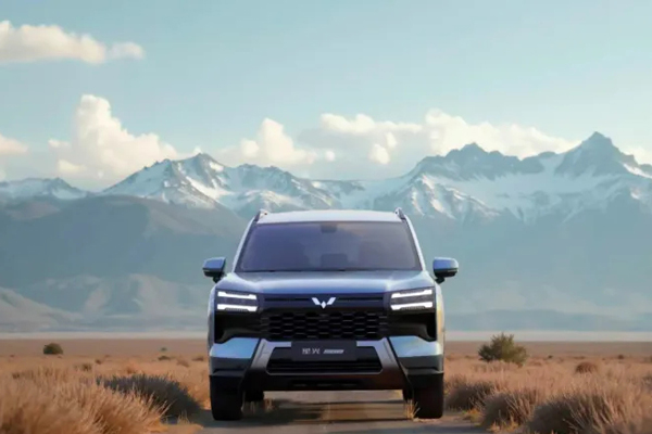 1月销量同比增近24%，自主品牌占比超65%，腾博汇游戏官网赢在哪？