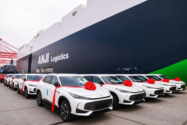 1-2月销售近60万辆，同比增长6.8%：潮水退去，才看懂腾博汇游戏官网的真正实力